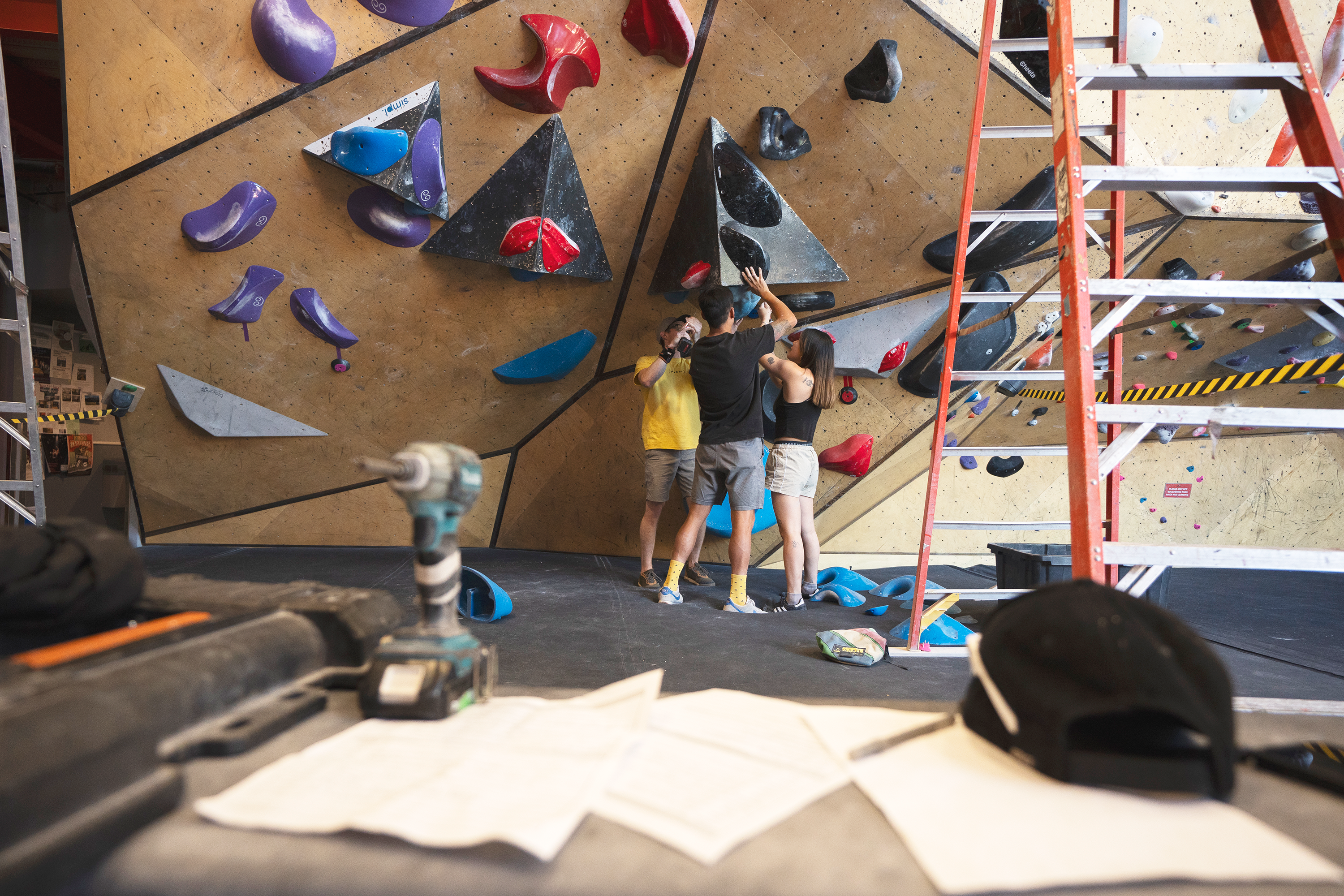 Setters testing holds on the wall together
