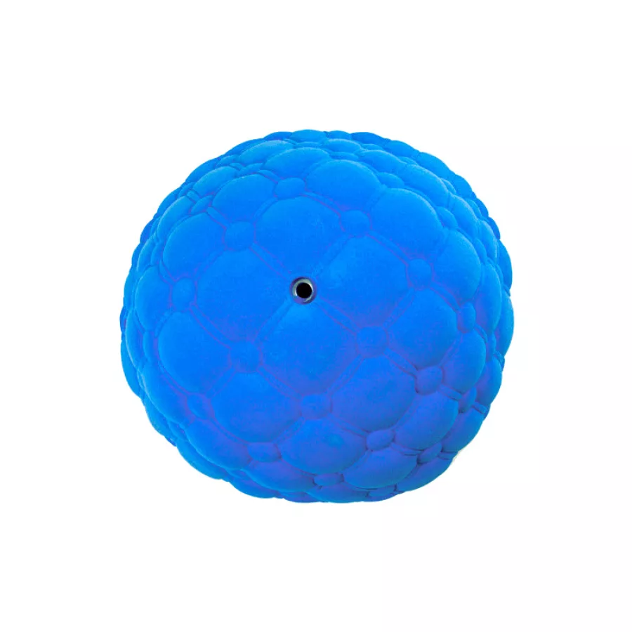 Bolo Feature
