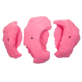 3XL Conglomerate Jugs