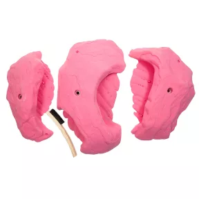 3XL Conglomerate Jugs - 1