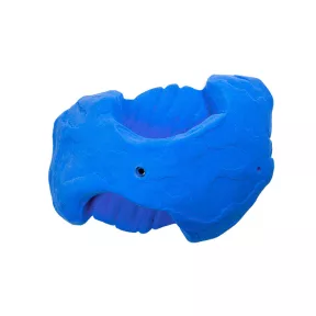 Conglomerate Feature 01