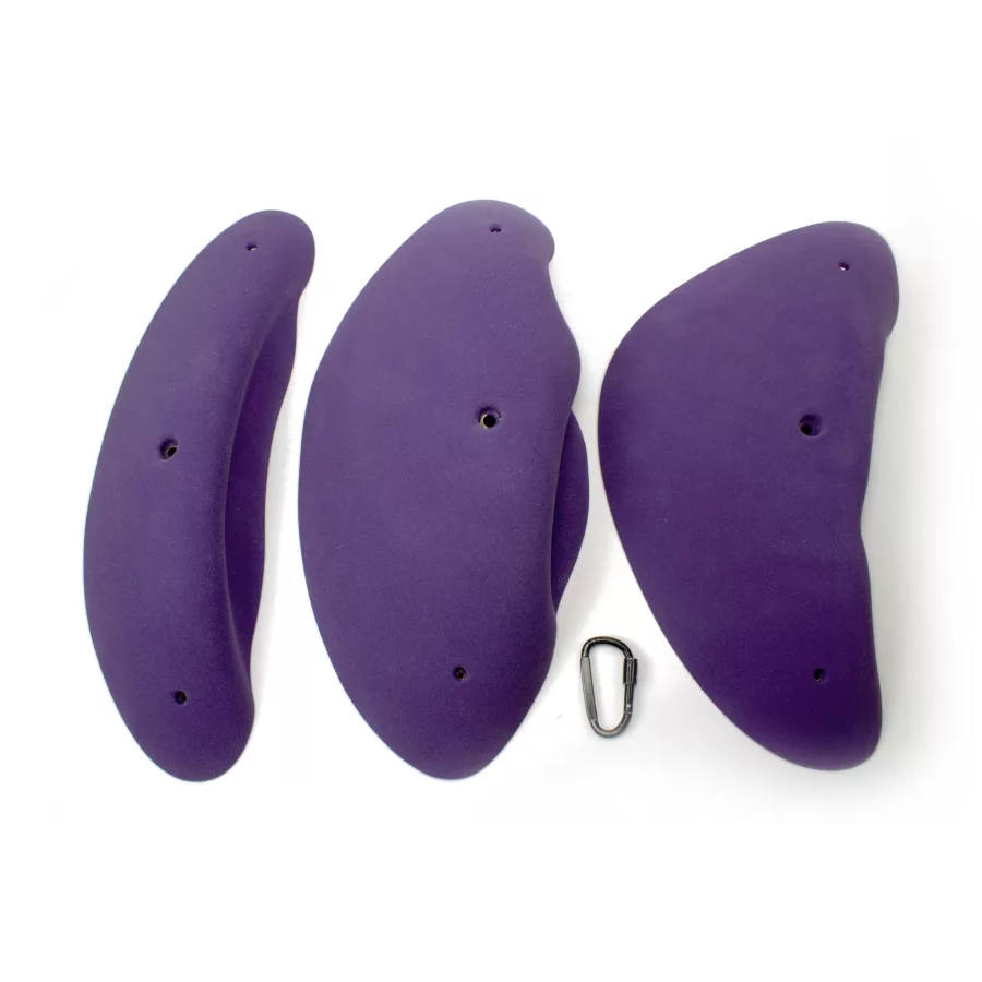 3XL Boletus Incuts