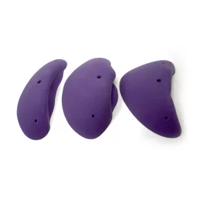 3XL Boletus Incuts - 2