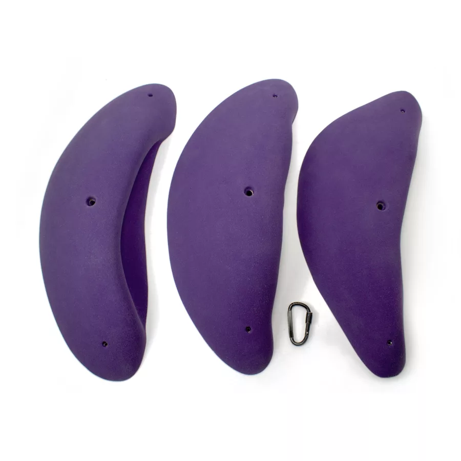 4XL Boletus Incuts