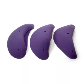 4XL Boletus Incuts - 1