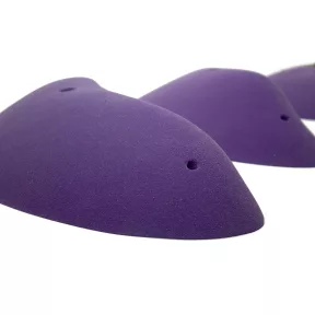 4XL Boletus Incuts - 2