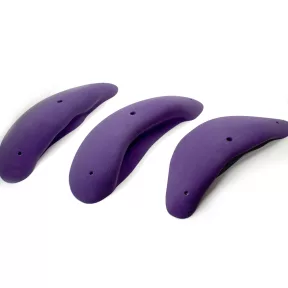 4XL Boletus Incuts - 6