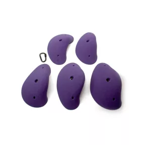 Large Boletus Jugs 02 - 1