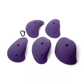 Large Boletus Jugs 02 - 2