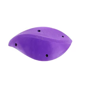 LEAF - L3 - 6