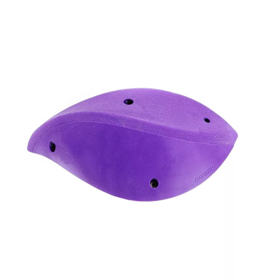 LEAF - L3 - 6