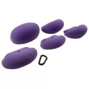 XL Mushrooms - 2