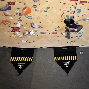 Proxy Auto Belay Gate - 1