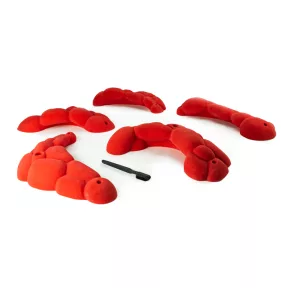 2XL BubbleBeam Jugs - 1