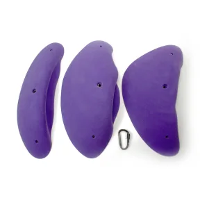 3XL Boletus Incuts