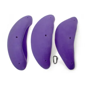 4XL Boletus Incuts
