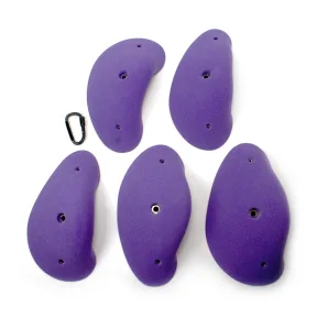 Large Boletus Jugs 02