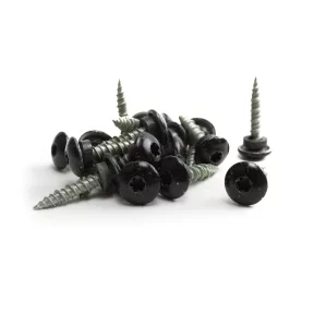 1in Macro Screws