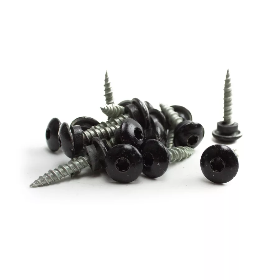1in Macro Screws