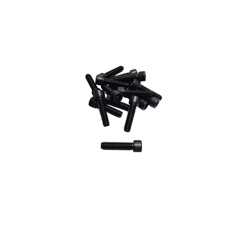 1in Bolt