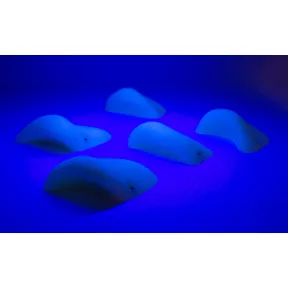 Blacklight Seconds - 0