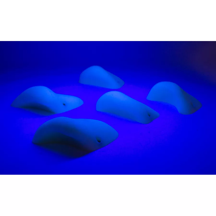 Blacklight Seconds