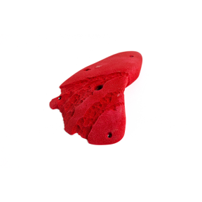 Limestone - Large Incuts - 7