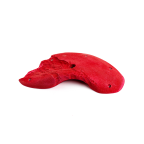 Limestone - Large Incuts - 8