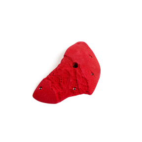 Limestone - Large Incuts - 13