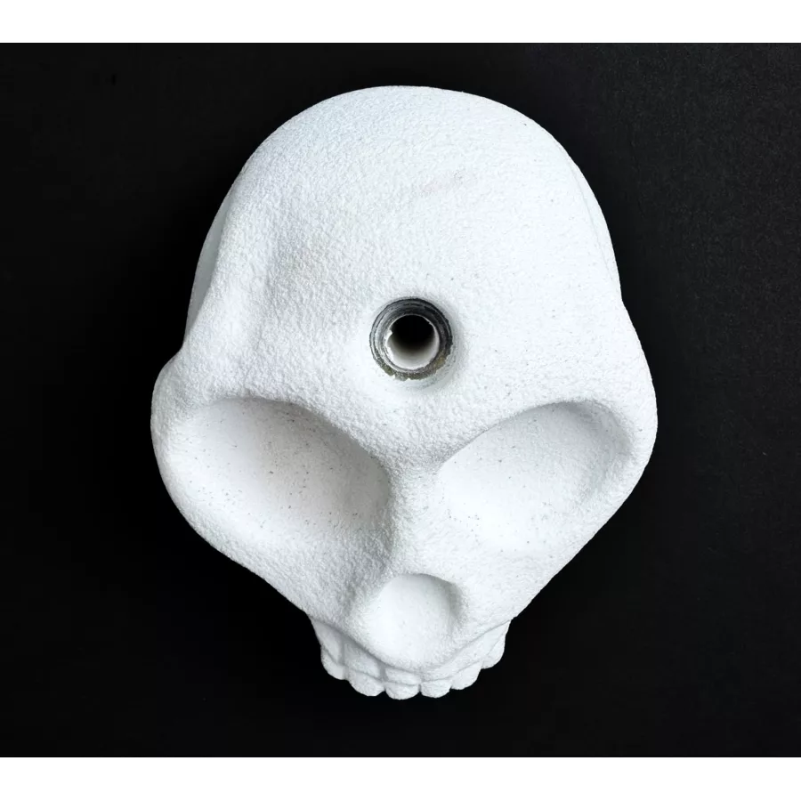 Skeletor Trophy - 2
