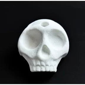 Skeletor Trophy - 1