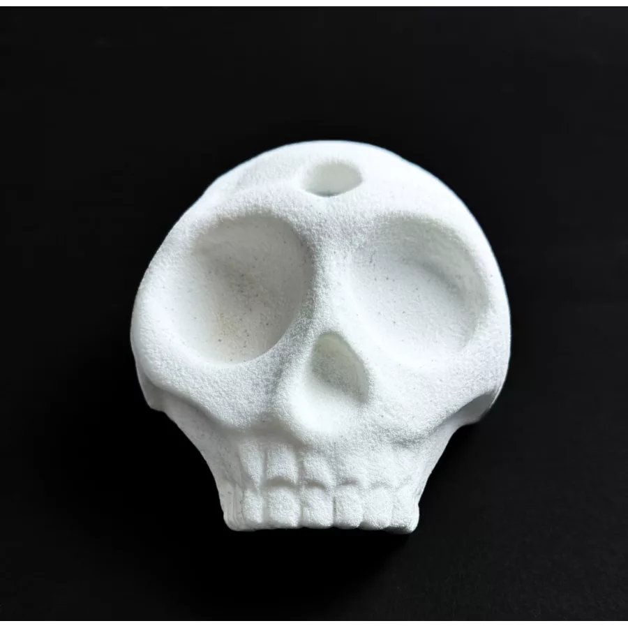 Skeletor Trophy - 1