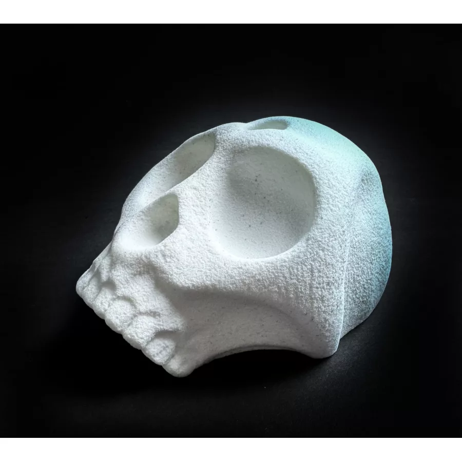 Skeletor Trophy